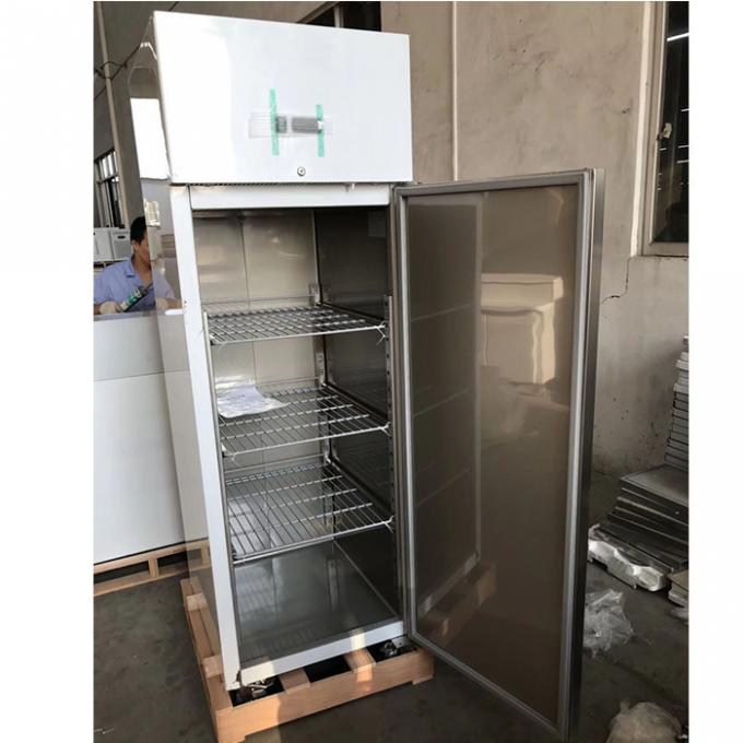 CE 250W ตู้แช่ตู้เย็นสแตนเลสเชิงพาณิชย์ 1