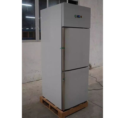 ตู้แช่ตู้เย็นสแตนเลสเชิงพาณิชย์ 220V 500L